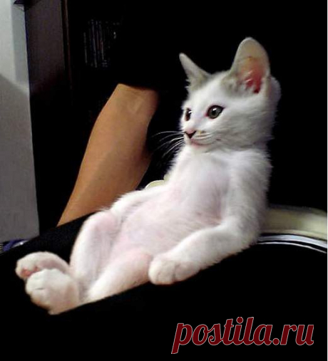 Взаимные симпатии