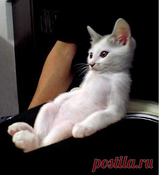 Взаимные симпатии
