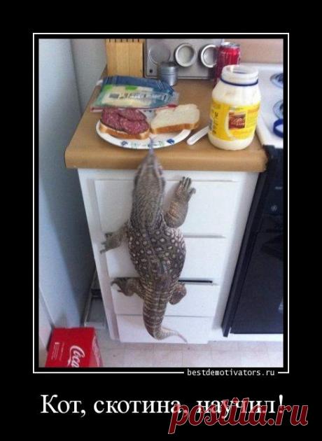 Юмор... / Болталка / Юмор