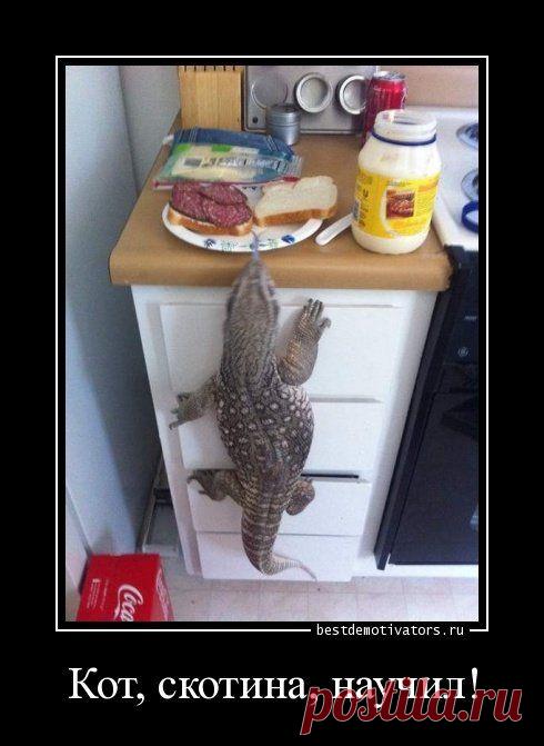 Юмор... / Болталка / Юмор