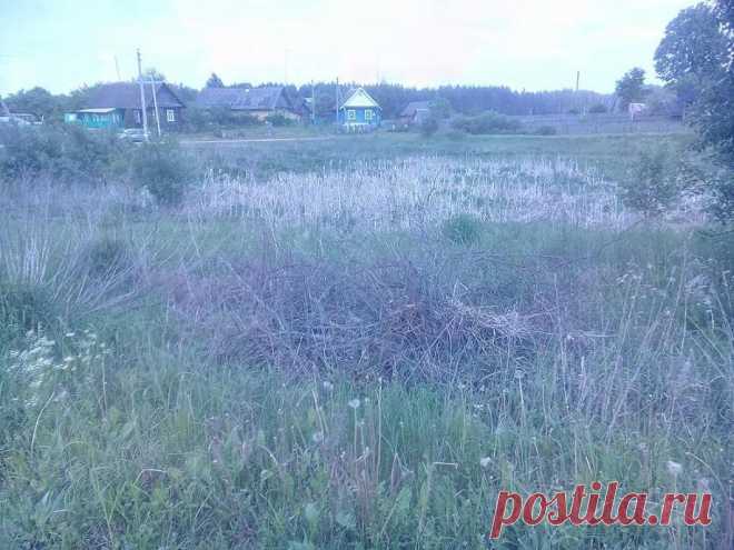 ДОМ ВБЛИЗИ Вилейского водохранилища | Вилейка | Kufar.by