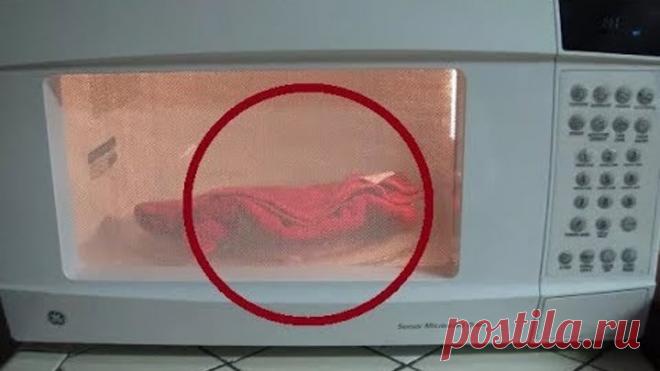 Она положила грязные кухонные полотенца в микроволновку, а когда достала, удивилась от результата