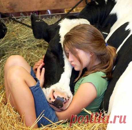 РОДСТВЕННЫЕ ДУШИ...