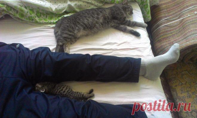 мама на кровати, я возле дедули)))