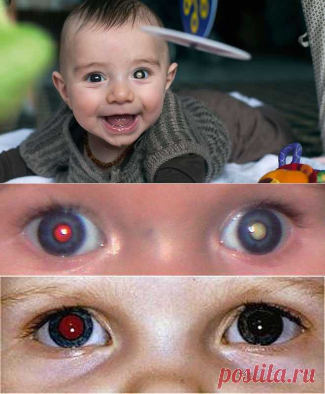 Она думала, что это просто блик на фото, но все оказалось намного хуже