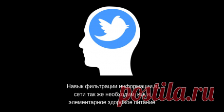 Как потреблять информацию из интернета так, чтобы она приносила пользу и мотивировала, а не засоряла мозг | Блог сервиса Хаос-контроль