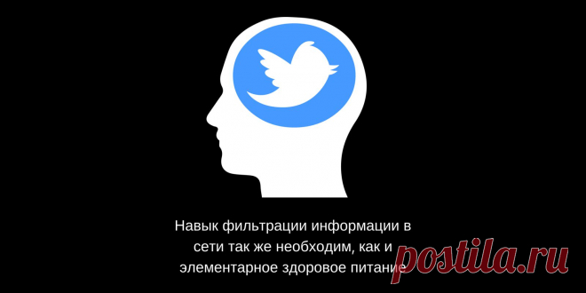 Как потреблять информацию из интернета так, чтобы она приносила пользу и мотивировала, а не засоряла мозг | Блог сервиса Хаос-контроль