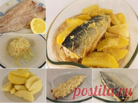 Запеченная скумбрия с сыром
