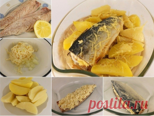 Запеченная скумбрия с сыром