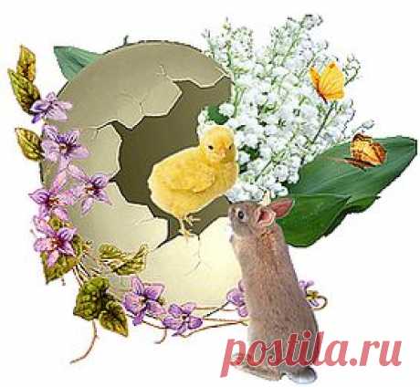 нт