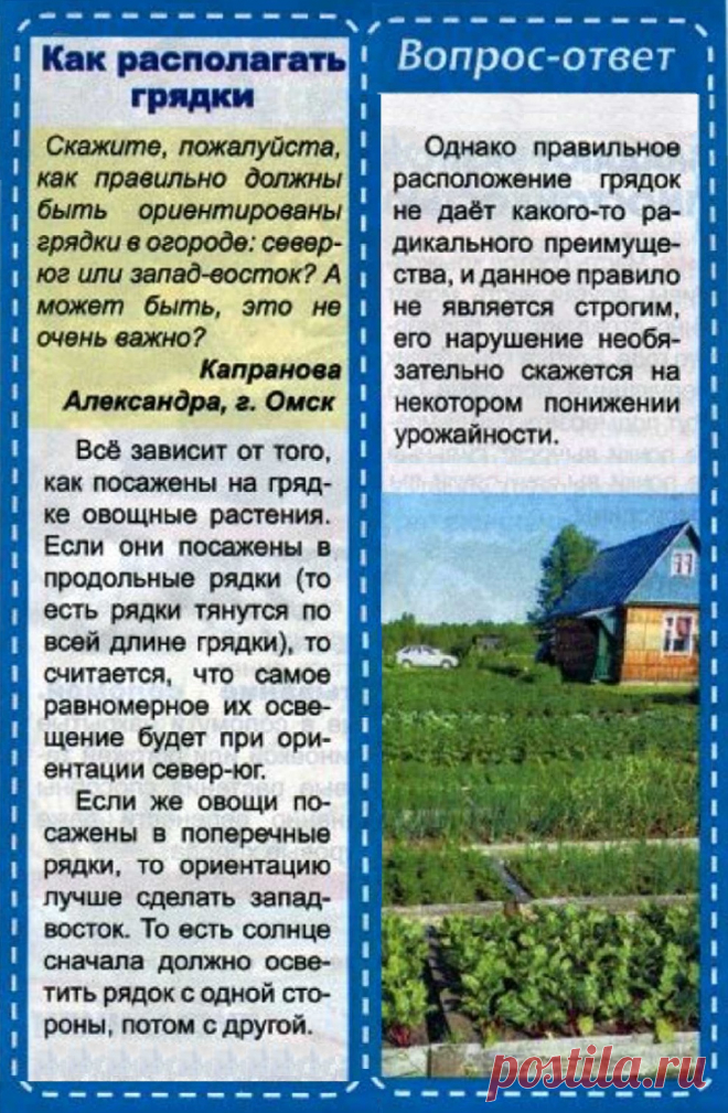 Как располагать грядки