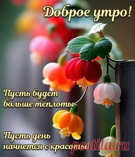 С добрым утром, улыбнись,
Открывай скорее глазки
И рассветом насладись,
Ловя утренние краски!