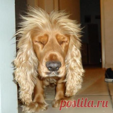 7 способов привести себя в порядок после бурной вечеринки / Будьте здоровы