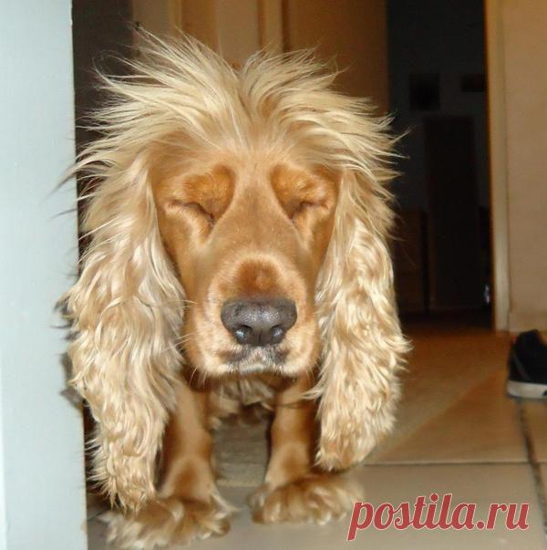 7 способов привести себя в порядок после бурной вечеринки / Будьте здоровы