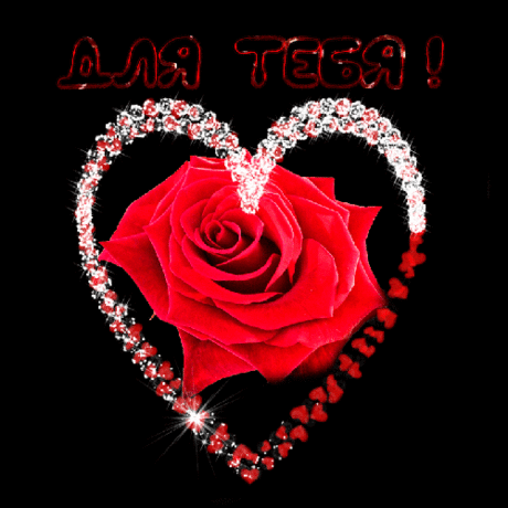 Мои картинки — Яндекс.Коллекции