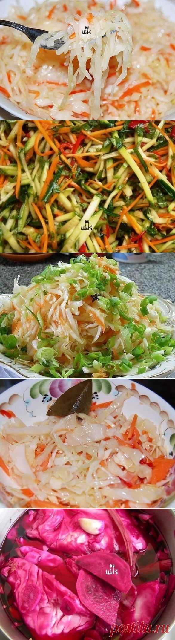 Квасим капусту! Самые лучшие рецепты » В сети – себя просвети!