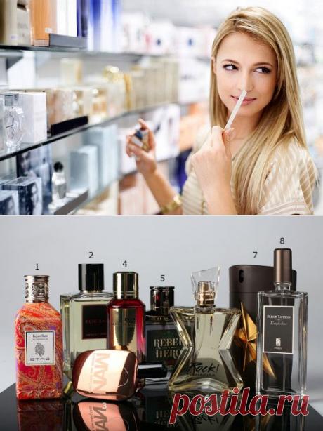 Как выбрать аромат, который согреет