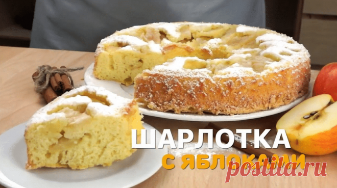 Шарлотка с яблоками: рецепт пышной яблочной шарлотки в духовке, с пошаговыми фото