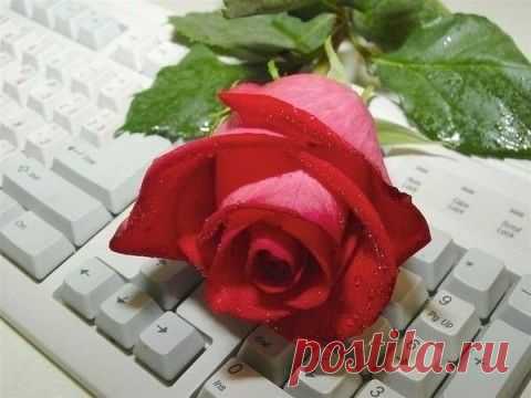Этот урок поможет новичкам быстро без сохранения в комп взять любую картинку или разделитель...