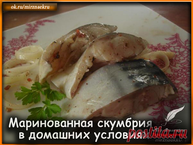Простой и быстрый рецепт маринованной скумбрии