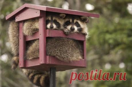 Современная ипотека и молодая семья