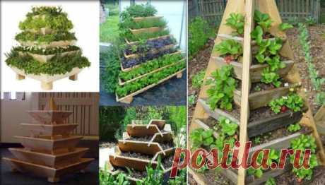 How To Build a Squash Arch