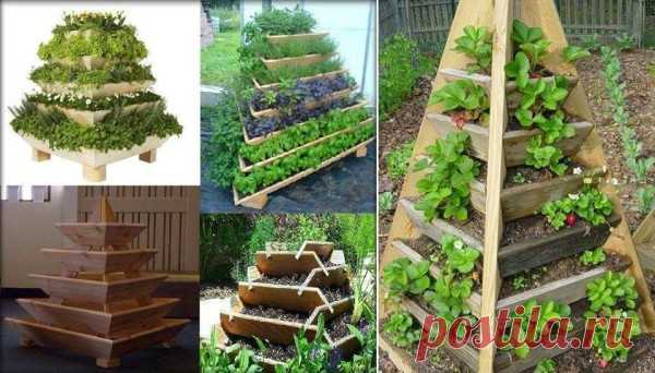 How To Build a Squash Arch