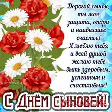 Поздравляю с Днём сыночков!
Пусть здоровье будет прочным,
Жизнь удачу принесёт
И безоблачно течёт.