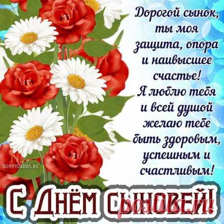 Поздравляю с Днём сыночков!
Пусть здоровье будет прочным,
Жизнь удачу принесёт
И безоблачно течёт.