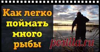 Ловушка для рыбы ФИНСКАЯ КАТИСКА. Как легко поймать рыбу. - смотреть видео Видео: Ловушка для рыбы ФИНСКАЯ КАТИСКА. Как легко поймать рыбу. -  онлайн. Добавлено KuroK в 2018 году. В этом видео я своими руками изготовил ловушку для рыбы 