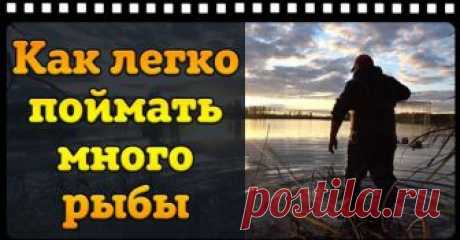 Ловушка для рыбы ФИНСКАЯ КАТИСКА. Как легко поймать рыбу. - смотреть видео Видео: Ловушка для рыбы ФИНСКАЯ КАТИСКА. Как легко поймать рыбу. -  онлайн. Добавлено KuroK в 2018 году. В этом видео я своими руками изготовил ловушку для рыбы "Финскую Катиску", и решил проверить её в действии. Мне было очень интересно, как эта ловушка сможет поймать рыбу и