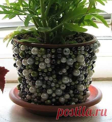 (81) Одноклассники
