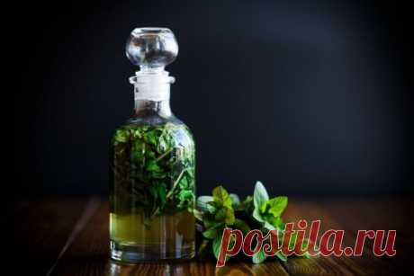 Сироп из мяты на зиму — Домашняя кулинария