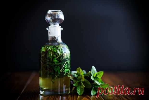 Сироп из мяты на зиму — Домашняя кулинария