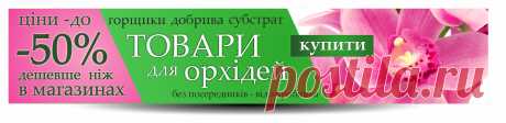 Болезни орхидей. Фото заболеваний Фаленопсиса и других видов орхидей.