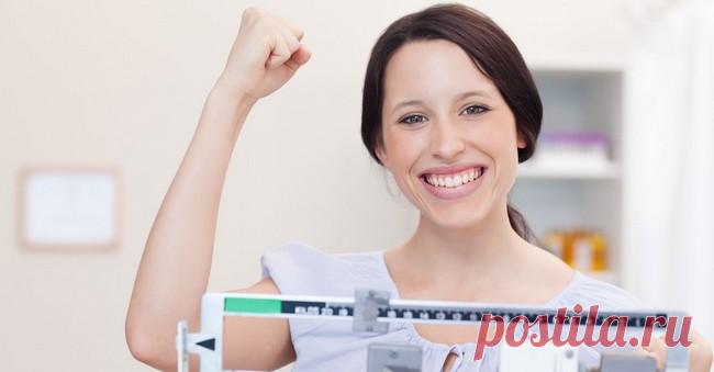 Расторопша для похудения: как принимать в виде шрота и масла Как расторопша может помочь для похудения. Правила приема. Как сделать настойку, отвар, масло. Какими могут быть противопоказания.