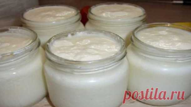 За сутки у тебя получится один из самых полезных продуктов в мире! Готовь банки — Копилочка полезных советов