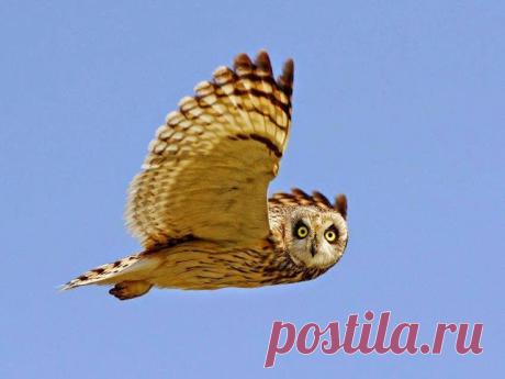 Google+