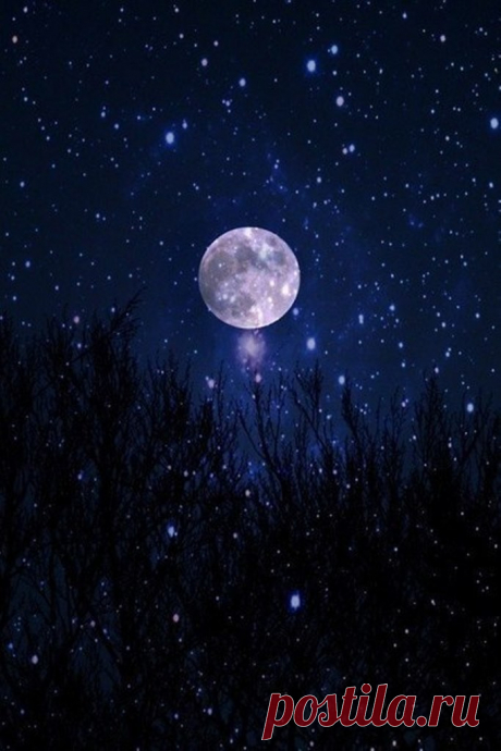 ЕСТЬ ДУШИ...

Есть души,упокоенные небом...
Их голоса мы слышим в тишине.
Преграды на пути своем сметая,
Они,порой,приходят к нам во сне.

Слегка коснувшись мягкой оболочкой,
Снимают боль,так ранящую днем.
И сердце заставляют биться ровно,
А не гореть сжигающим огнем.

Во сне своем мы робко тянем руки,
Пронзая их,как будто невзначай.
А тело,скорчившись от муки,
Движеньем шепчет:погоди,не улетай...

Есть души,упокоенные небом...
Летят посланцами на добрые дела.
Во снах прих...