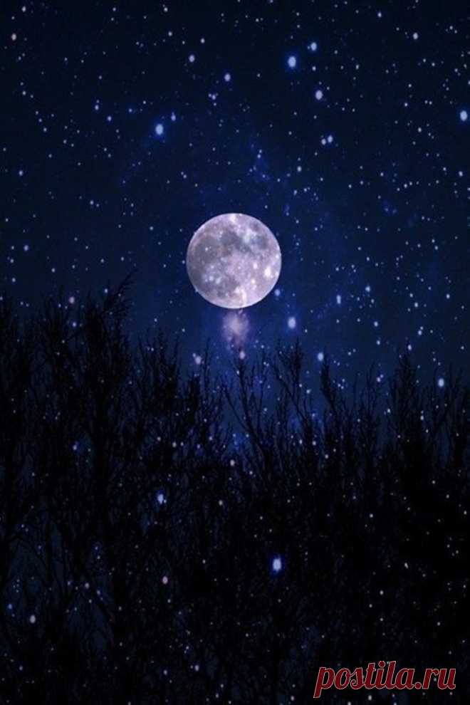 ЕСТЬ ДУШИ...

Есть души,упокоенные небом...
Их голоса мы слышим в тишине.
Преграды на пути своем сметая,
Они,порой,приходят к нам во сне.

Слегка коснувшись мягкой оболочкой,
Снимают боль,так ранящую днем.
И сердце заставляют биться ровно,
А не гореть сжигающим огнем.

Во сне своем мы робко тянем руки,
Пронзая их,как будто невзначай.
А тело,скорчившись от муки,
Движеньем шепчет:погоди,не улетай...

Есть души,упокоенные небом...
Летят посланцами на добрые дела.
Во снах прих...