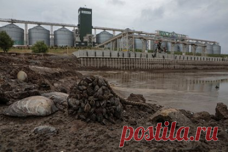 Врач оценил вероятность вспышки холеры после разрушения Каховской ГЭС. Иммунолог Николай Крючков заявил, что риск вспышки холеры после разрушения Каховской ГЭС в Николаевской области является крайне высоким. Препятствовать этому можно только с помощью завоза питьевой воды, антибиотиков, вакцин, средств гигиены и других мер, но для этого необходима налаженная логистика.