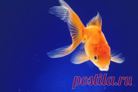 Как приблизить желаемое событие - Народные приметы