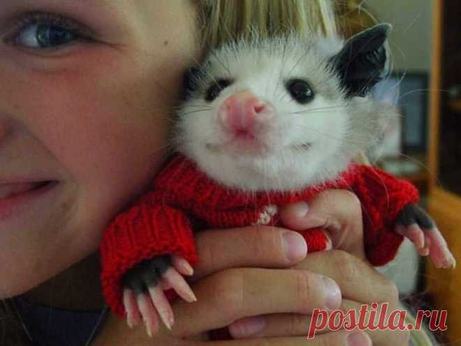 Фотографии, которые говорят больше чем слова!