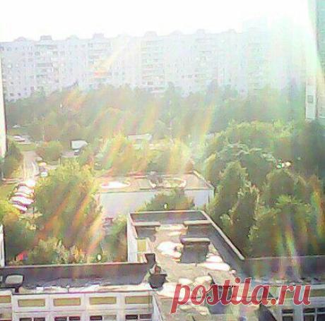 Солнечный дождь