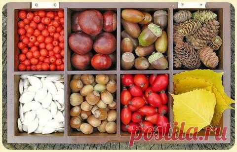 133 поделки из природного материала своими руками для детского сада и начальной школы: мастер-классы, видео, обзор лучших материалов для творчества | Крестик