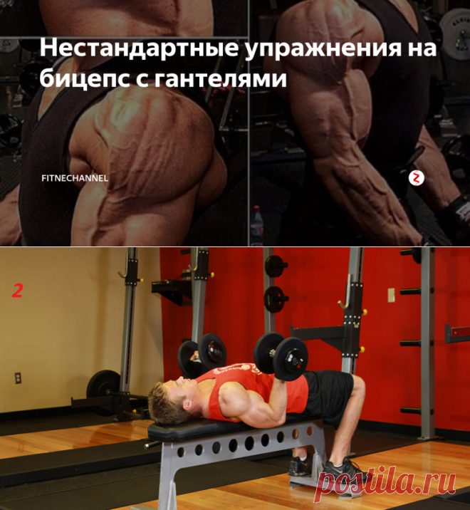 Нестандартные упражнения на бицепс с гантелями | fitnechannel | Яндекс Дзен
