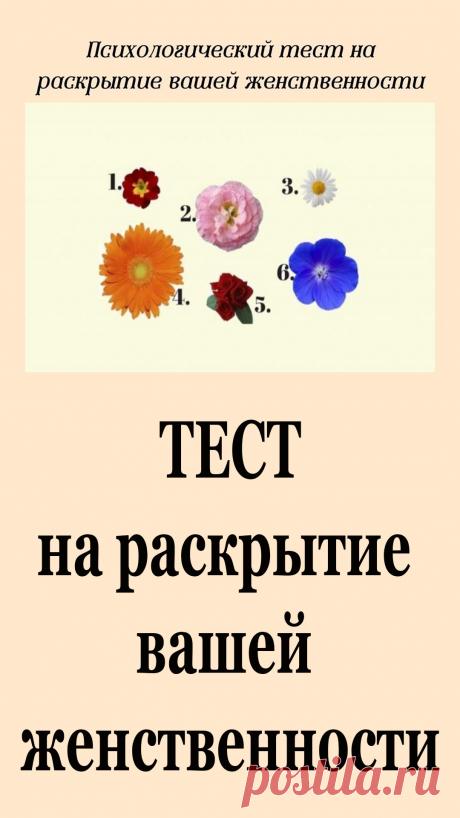 Все, что вам нужно сделать, это просто выбрать цветок, и вы узнаете кое что интересное о вас или о вашей подруге.