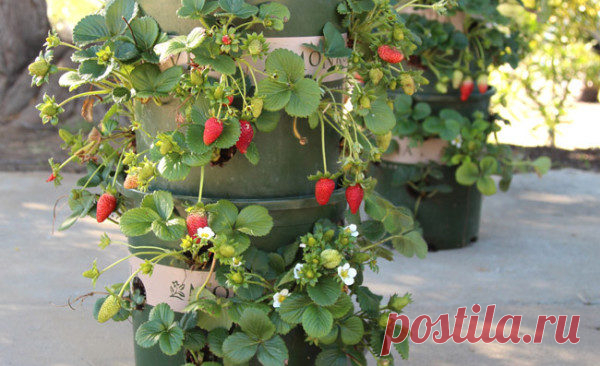 Find Fun Art Projects to Do at Home and Arts and Crafts Ideas | Practik Ideas