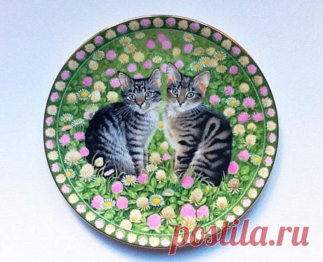 лесли энн айвори meet my cats - Поиск в Google
