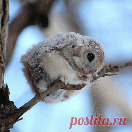 Красивые Картинки